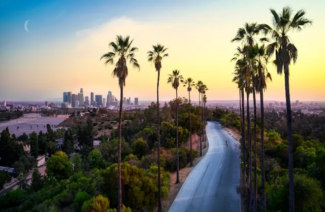 Tech market in Los Angeles