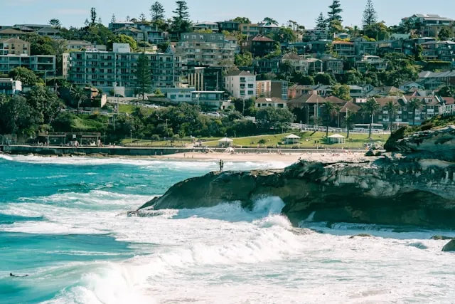 Tech market in Sydney