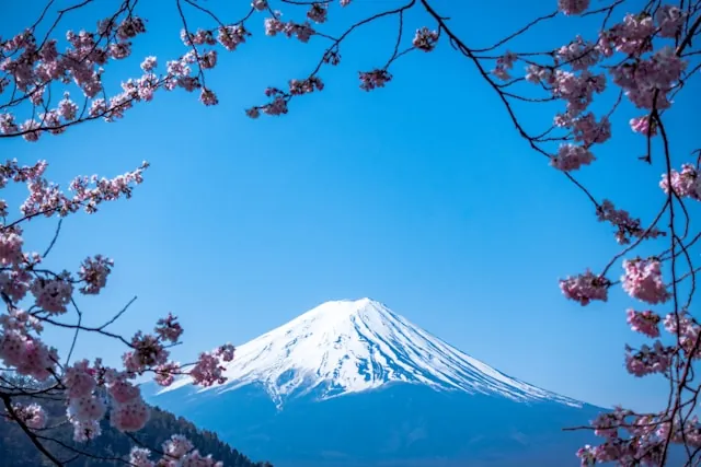 Tech market in Japan
