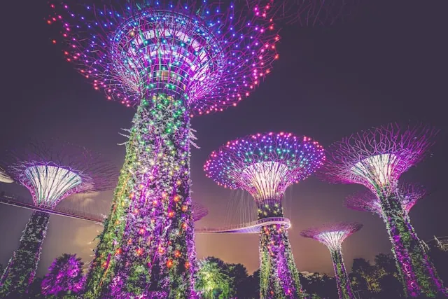 Tech market in Singapore